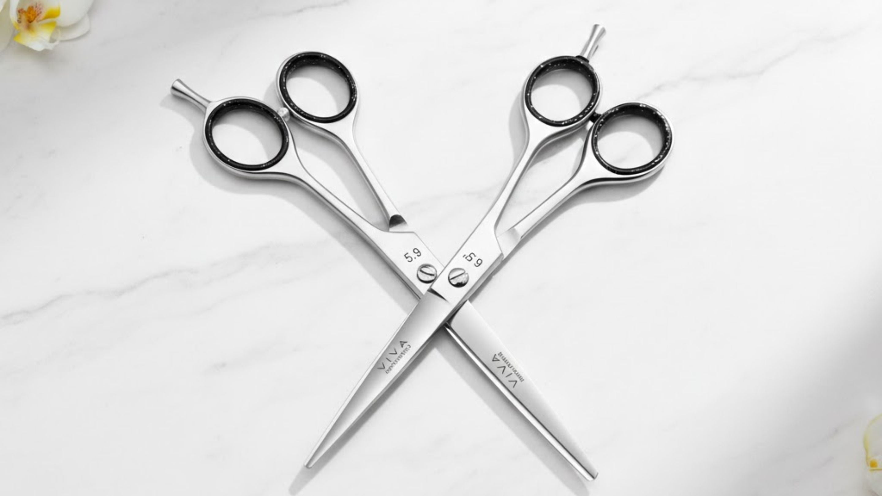 barber hair scissors professional - viva instruments 