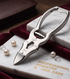 Cantilever Nipper | Concave Angled Podiatry Instruments